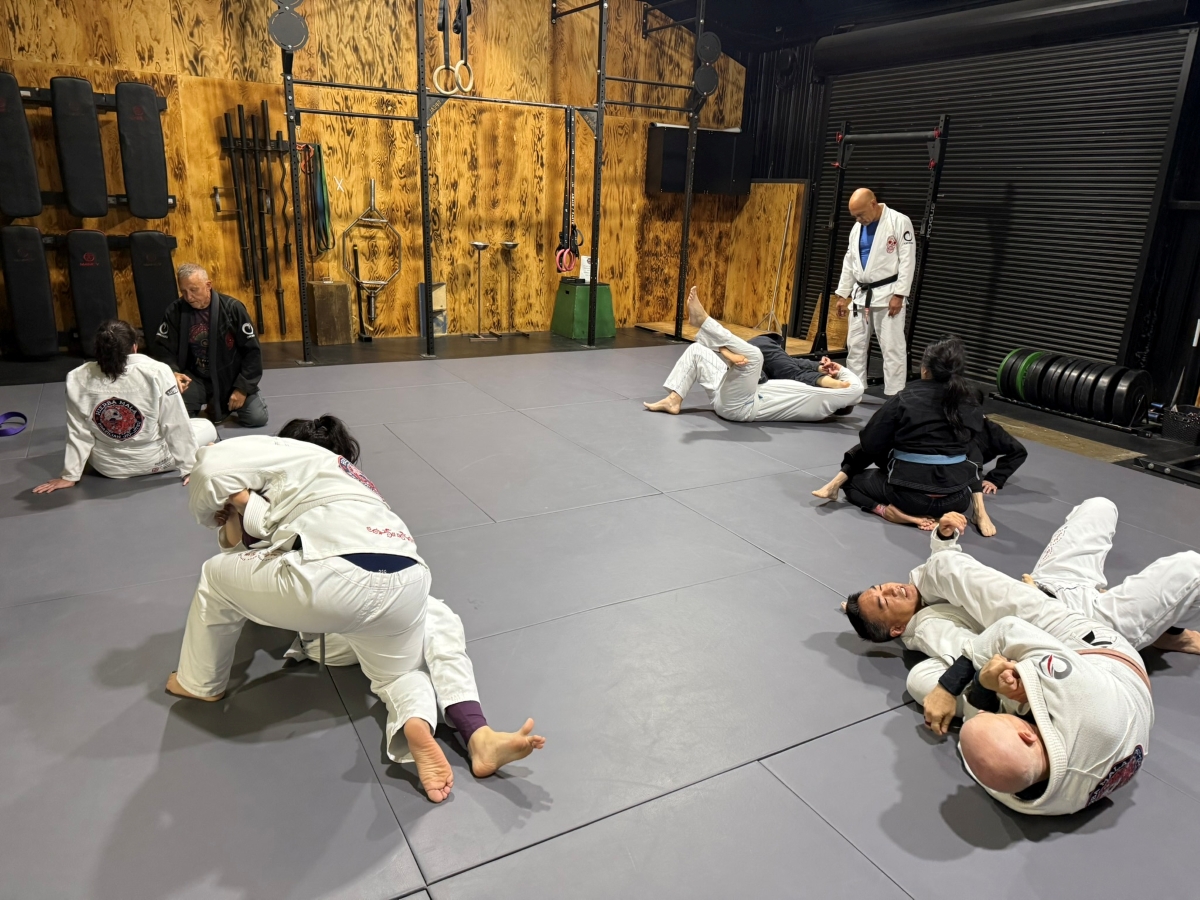BJJ Techniques