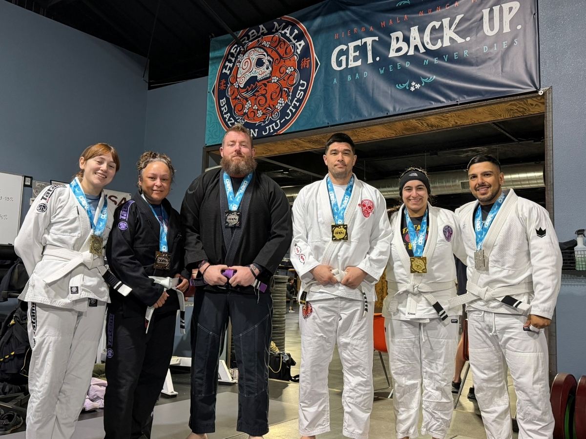 BJJ Techniques